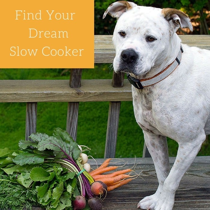 TIPS ON PICKING OUT A SLOW COOKER THAT’S RIGHT FOR YOU