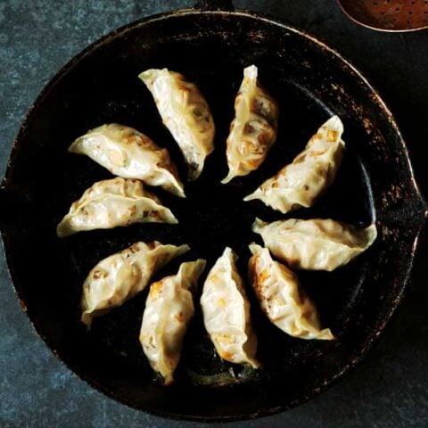 Vegan Gyoza with Mushroom & Tofu Filling in a metal pan