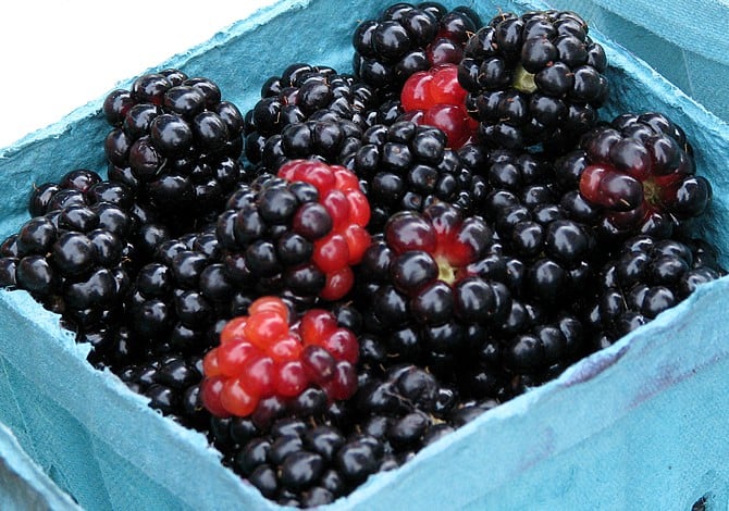 DIY Fresh Blackberry Syrup Fresh blackberries in a berry basket