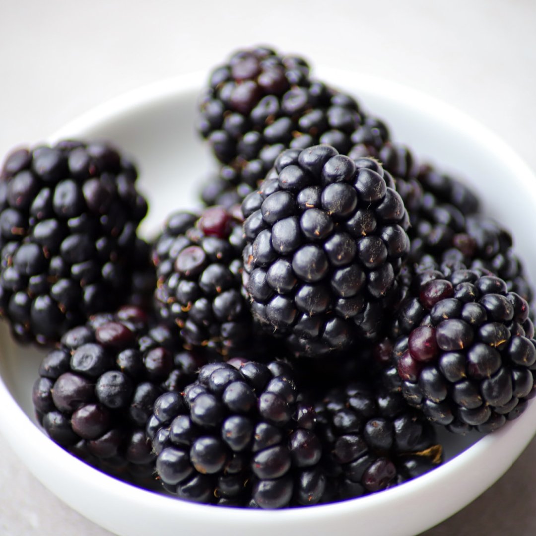 Ceramic bowl full of blackberries