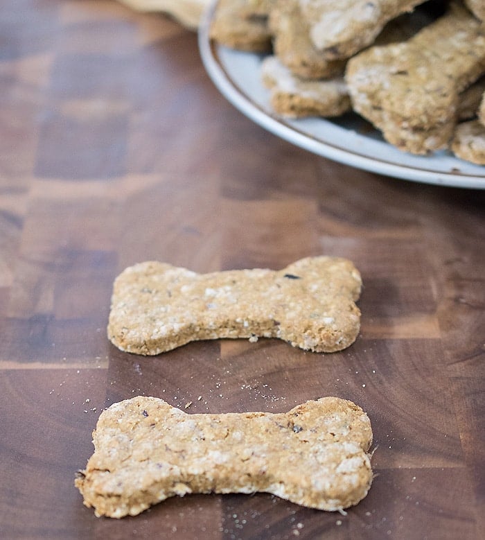 Pumpkin Cranberry Dog Cookies