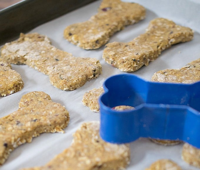 Pumpkin Cranberry Dog Cookies