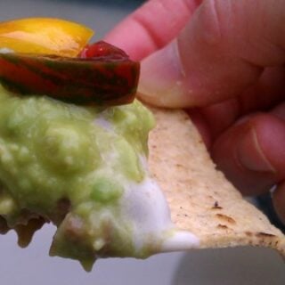No Shame Layer Dip