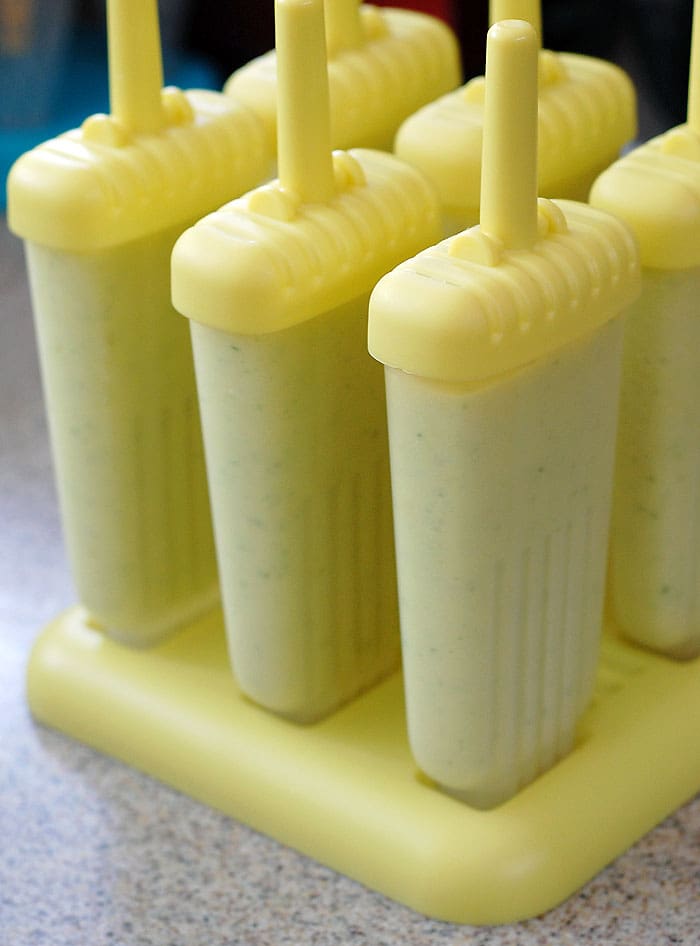 Vegan Pineapple Mojito Rumsicles