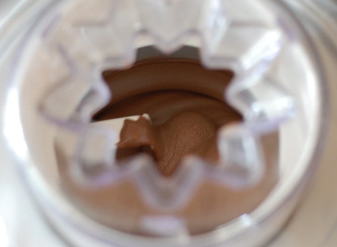 Chocolate Pecan Vegan Ice Cream