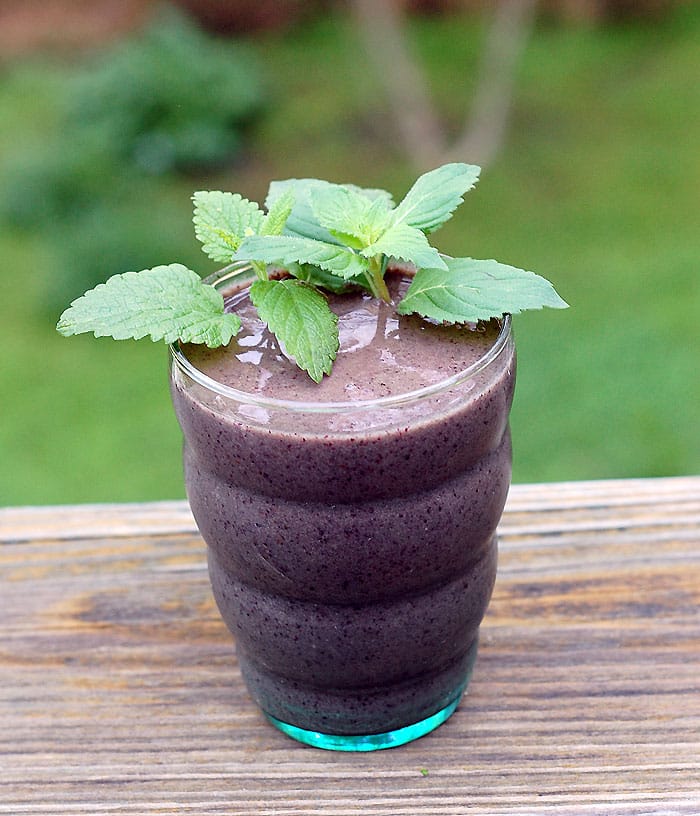 Lemon Balm Mint Blueberry Smoothie | HealthySlowCooking.com