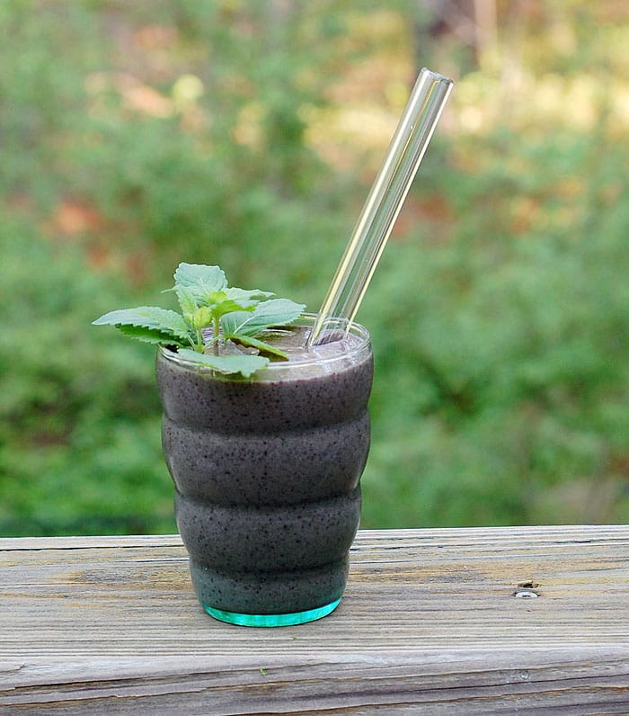 Lemon Balm Mint Blueberry Smoothie | HealthySlowCooking.com