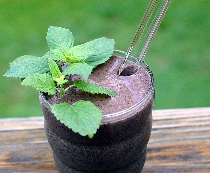 Lemon Balm Mint Blueberry Smoothie | HealthySlowCooking.com