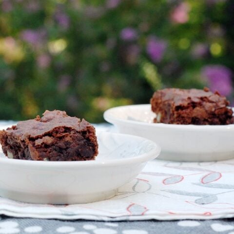 2 chocolate chip brownies on each of their small white saucers