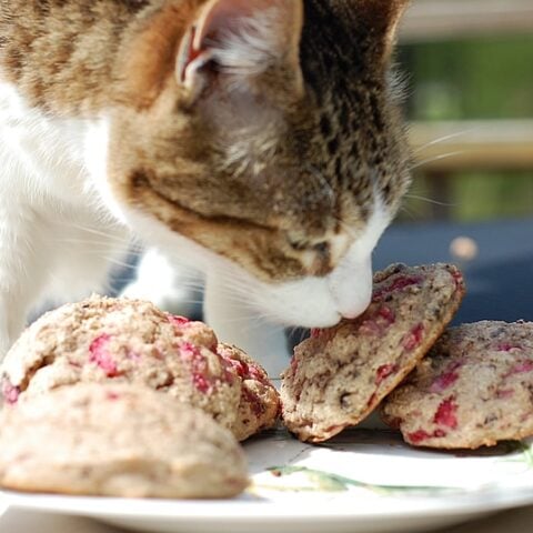 Strawberry Scones