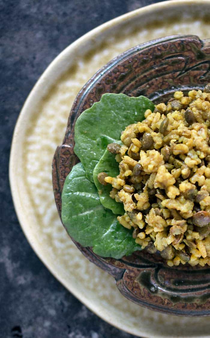 Budget Friendly Spiced Instant Pot Lentils and Rice #TeeterTreats, #TeeterRecipes