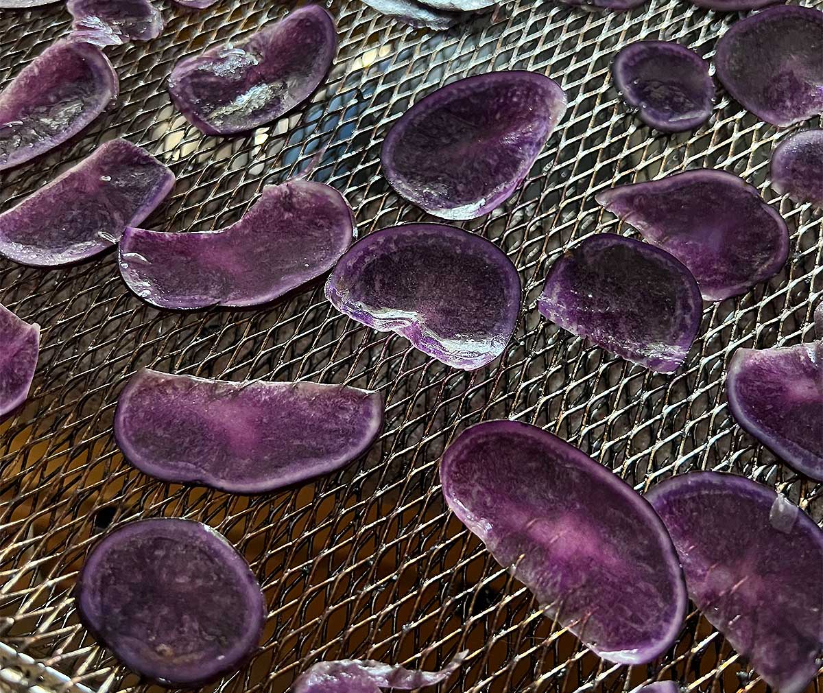 Purple potato slices on a Breville air fryer rack