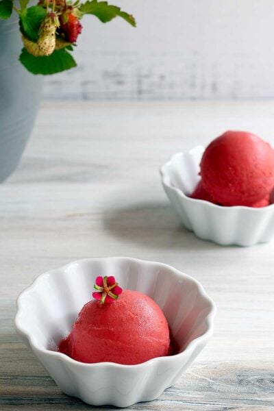 strawberry sorbet in a white dish garnished with a strawberry flower and strawberry plant in background