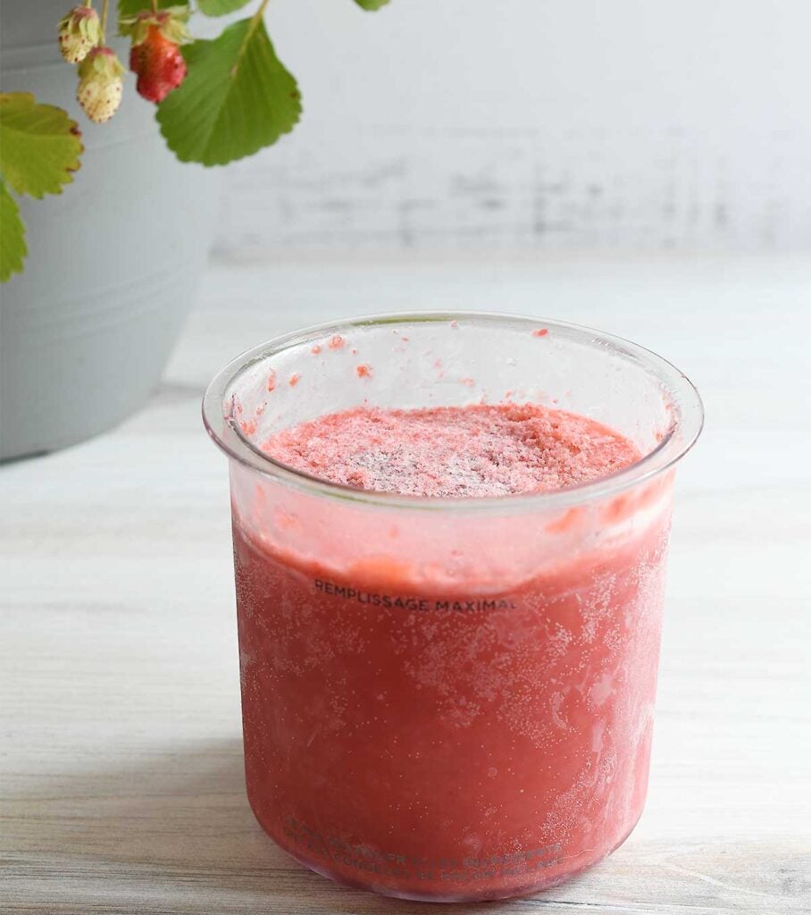 Strawberry sorbet in Ninja Creami pint with a strawberry plant in the background
