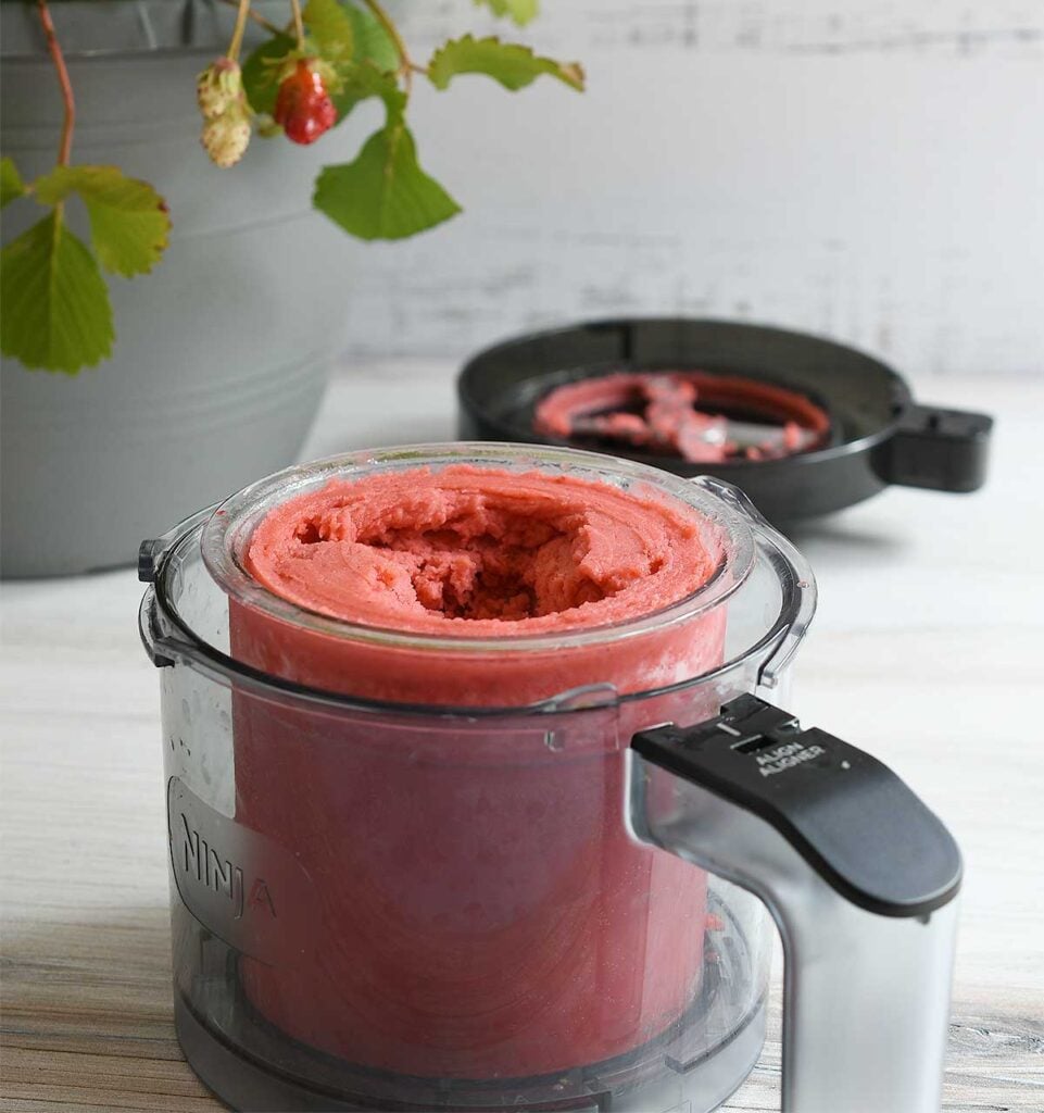 Strawberry sorbet that's just been spun in an outer bowl, the creamizer blade and outer lid behind it with a strawberry flower with a strawberry plant in the background