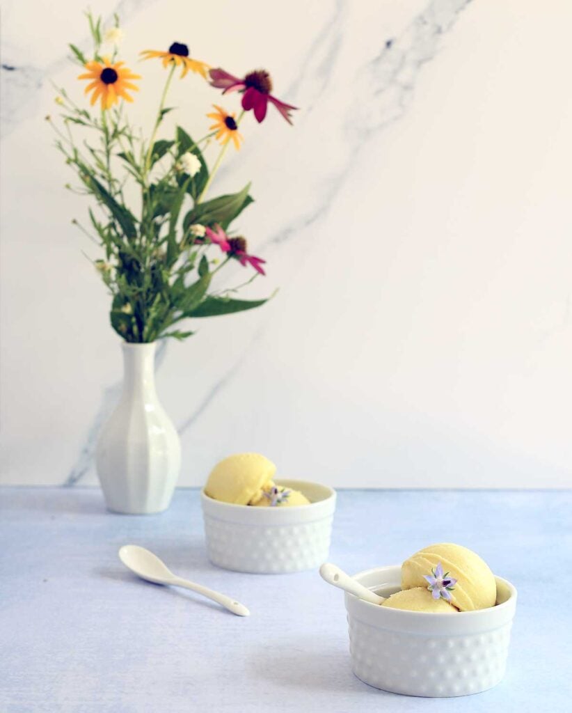 yellow watermelon sorbet