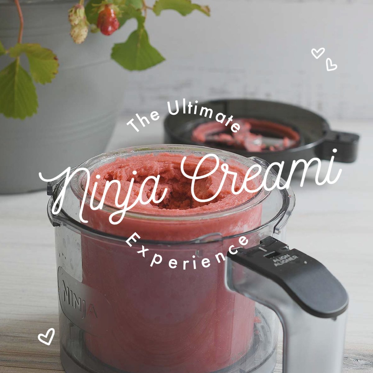 The Ninja Creami Experience with Kathy Hester
