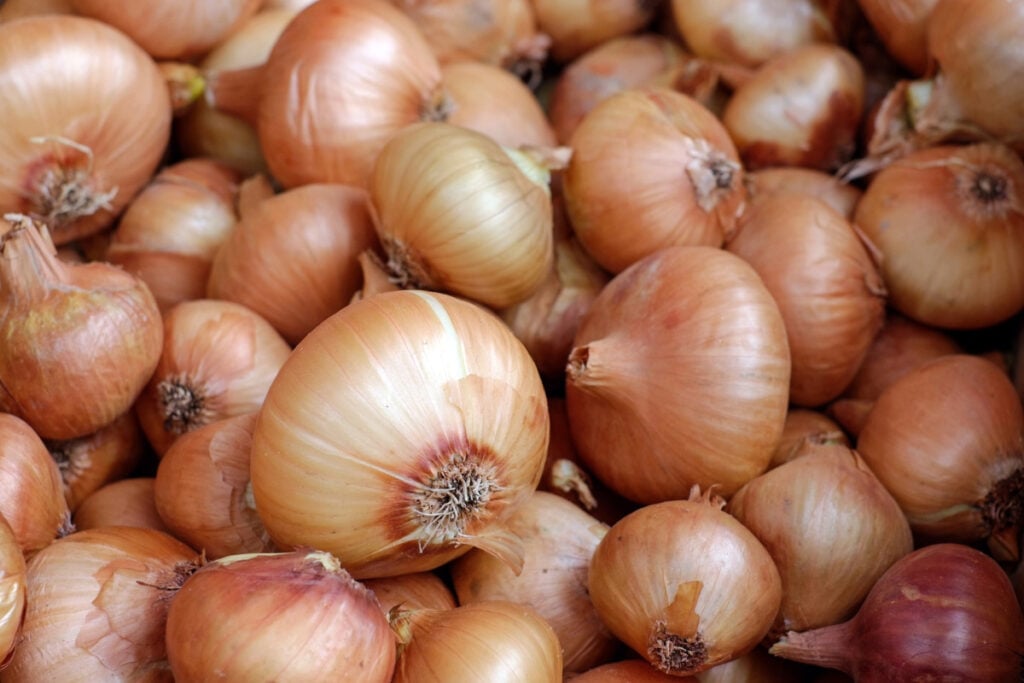pile of yellow onions.