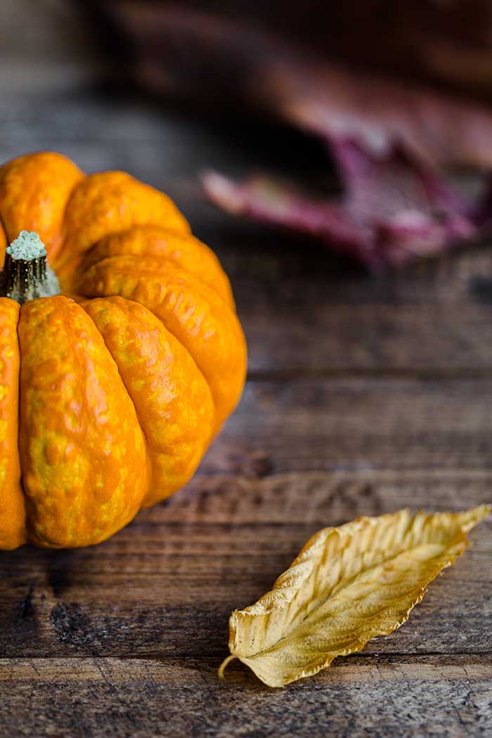 pumpkin and fall leaves