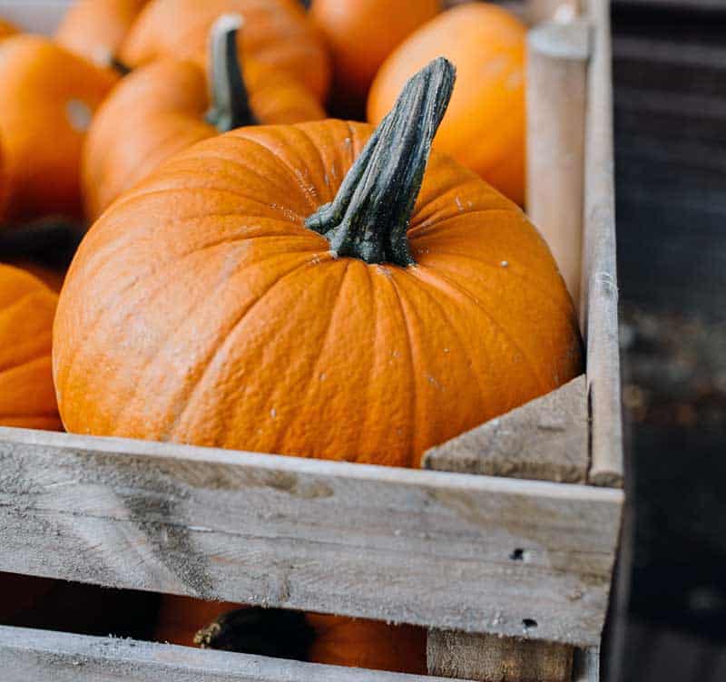 Wooden crate full of pie pumpkins
