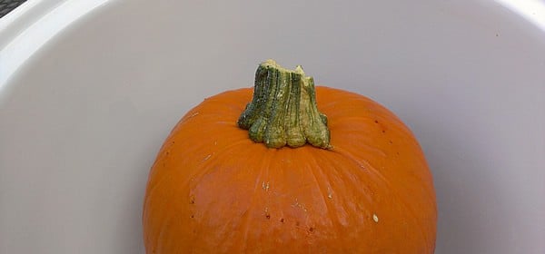 Step by Step Slow Cooker Pumpkin Purée