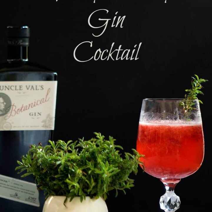 Fresh Raspberry and Thyme Gin Cocktail featuring Uncle Val's Botanical Gin on black background