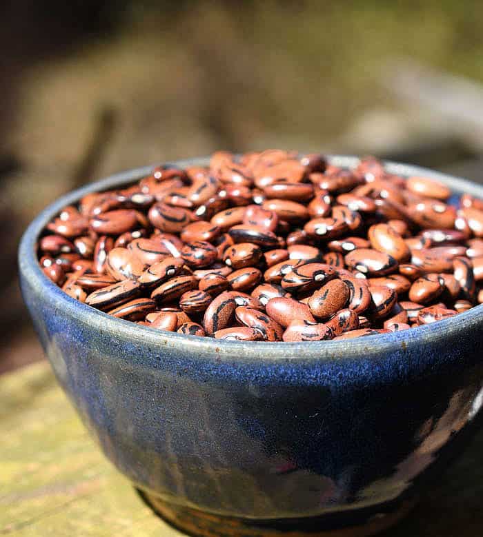 Heirloom Bean: San Franciscano