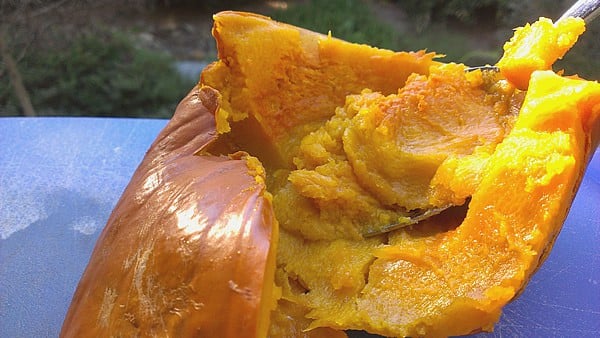 Step by Step Slow Cooker Pumpkin Purée