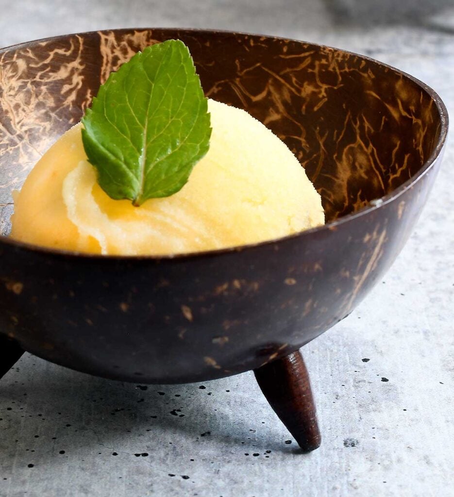Dole whip in a coconut shell bowl