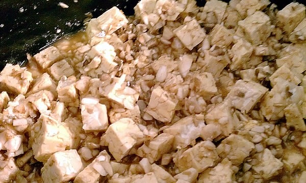tempeh-before