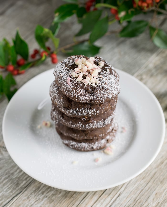 Vegan Mint Double Chocolate Black Bean Cookies