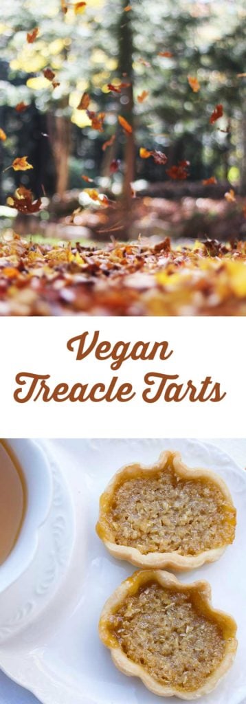 Harry Potter's Mini Vegan Treacle Tarts