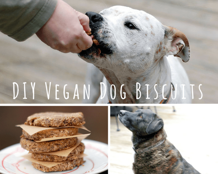 A collage of dogs and cookies